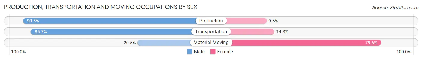 Production, Transportation and Moving Occupations by Sex in Salida