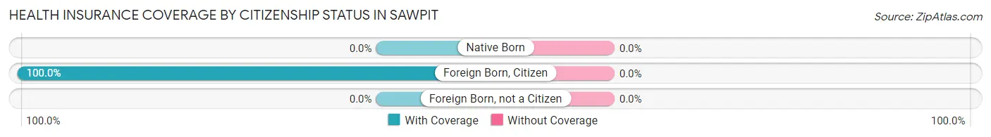 Health Insurance Coverage by Citizenship Status in Sawpit