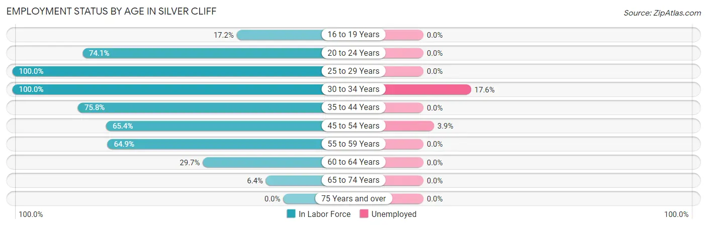 Employment Status by Age in Silver Cliff