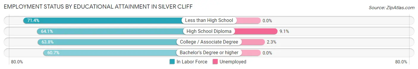 Employment Status by Educational Attainment in Silver Cliff