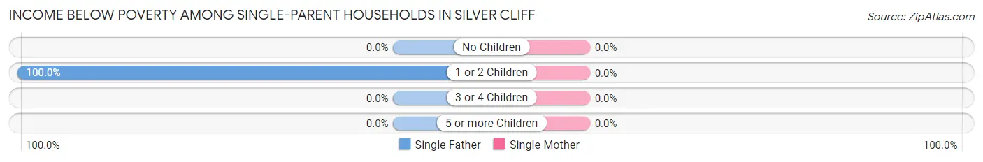 Income Below Poverty Among Single-Parent Households in Silver Cliff