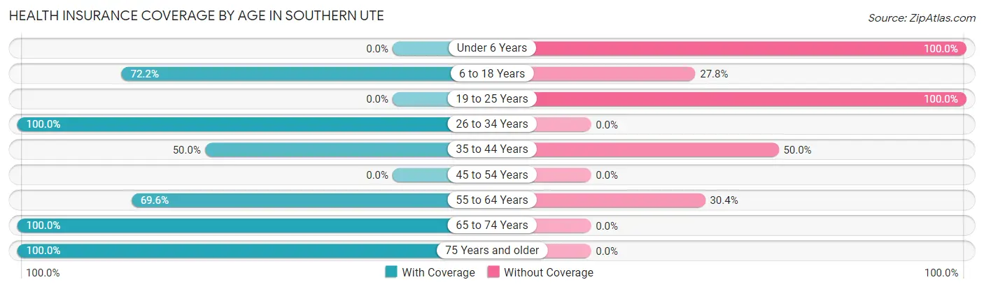 Health Insurance Coverage by Age in Southern Ute