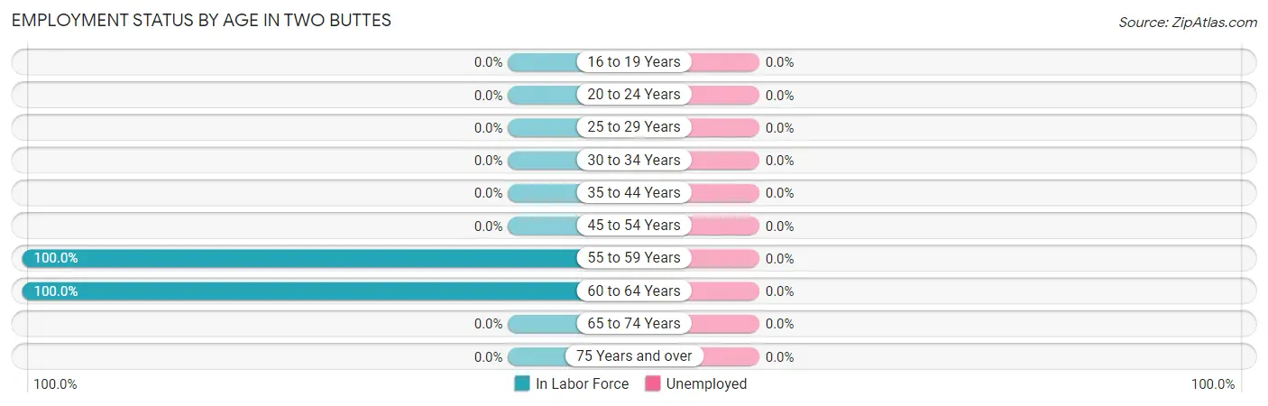 Employment Status by Age in Two Buttes