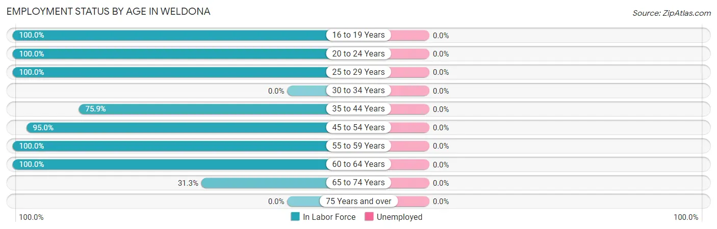 Employment Status by Age in Weldona