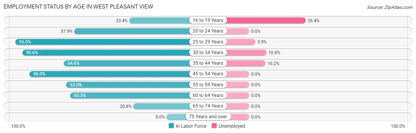 Employment Status by Age in West Pleasant View