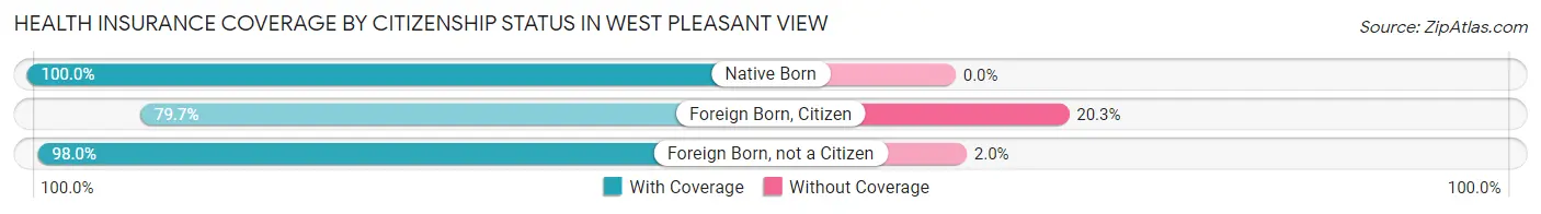 Health Insurance Coverage by Citizenship Status in West Pleasant View