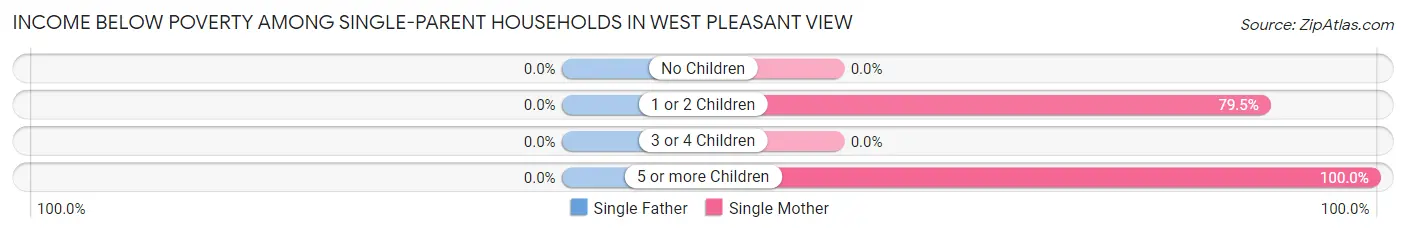 Income Below Poverty Among Single-Parent Households in West Pleasant View