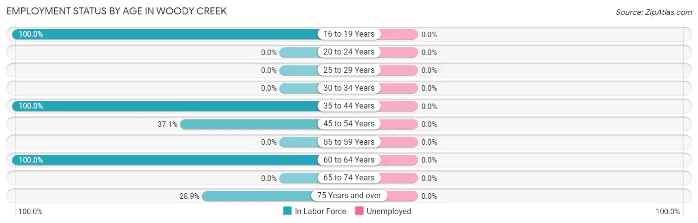 Employment Status by Age in Woody Creek