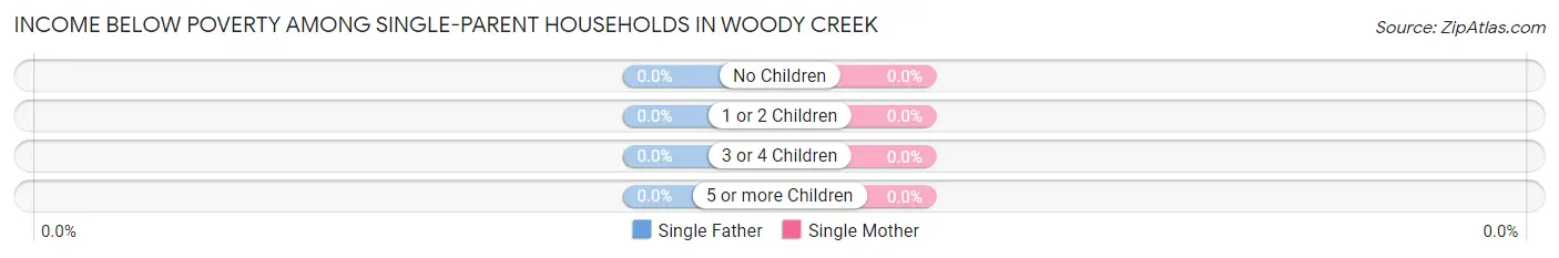 Income Below Poverty Among Single-Parent Households in Woody Creek