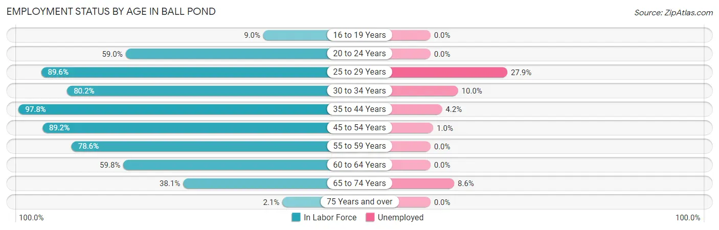 Employment Status by Age in Ball Pond