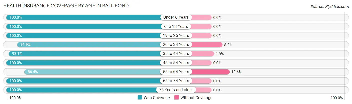 Health Insurance Coverage by Age in Ball Pond