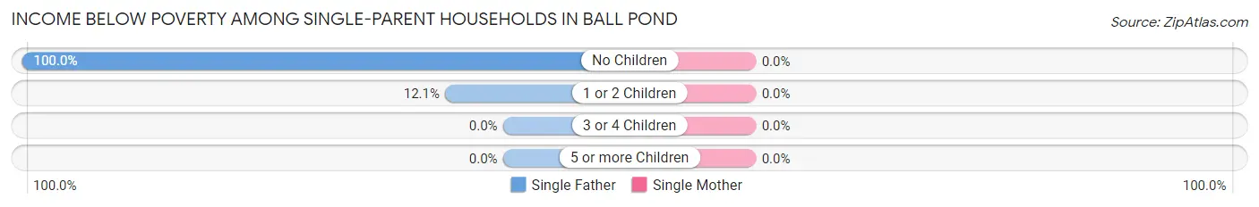 Income Below Poverty Among Single-Parent Households in Ball Pond