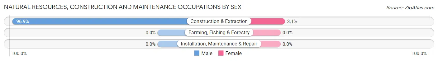 Natural Resources, Construction and Maintenance Occupations by Sex in Ball Pond