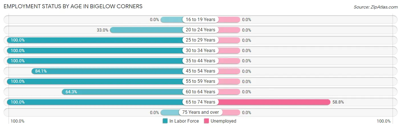 Employment Status by Age in Bigelow Corners
