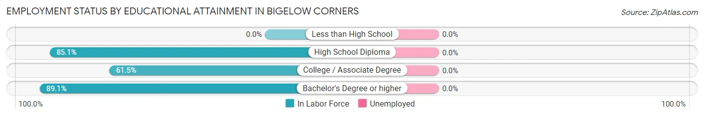 Employment Status by Educational Attainment in Bigelow Corners
