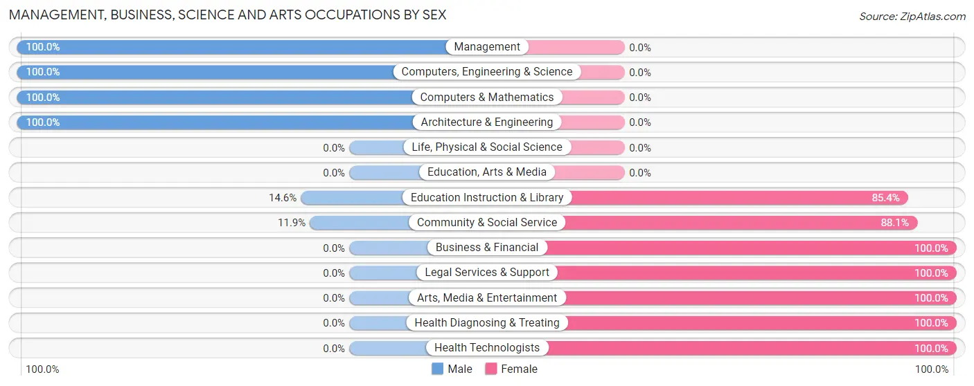 Management, Business, Science and Arts Occupations by Sex in Bigelow Corners