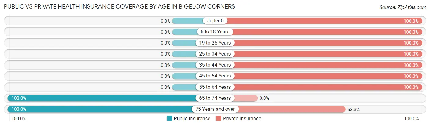 Public vs Private Health Insurance Coverage by Age in Bigelow Corners