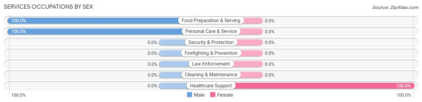Services Occupations by Sex in Bigelow Corners