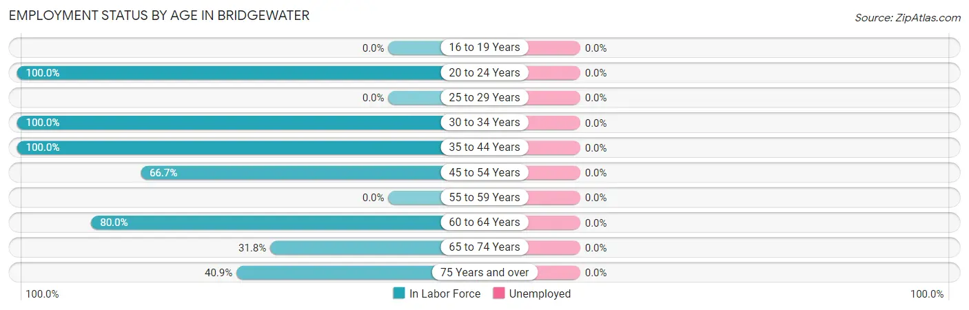Employment Status by Age in Bridgewater