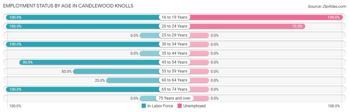 Employment Status by Age in Candlewood Knolls