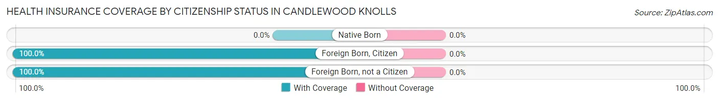 Health Insurance Coverage by Citizenship Status in Candlewood Knolls