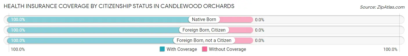 Health Insurance Coverage by Citizenship Status in Candlewood Orchards