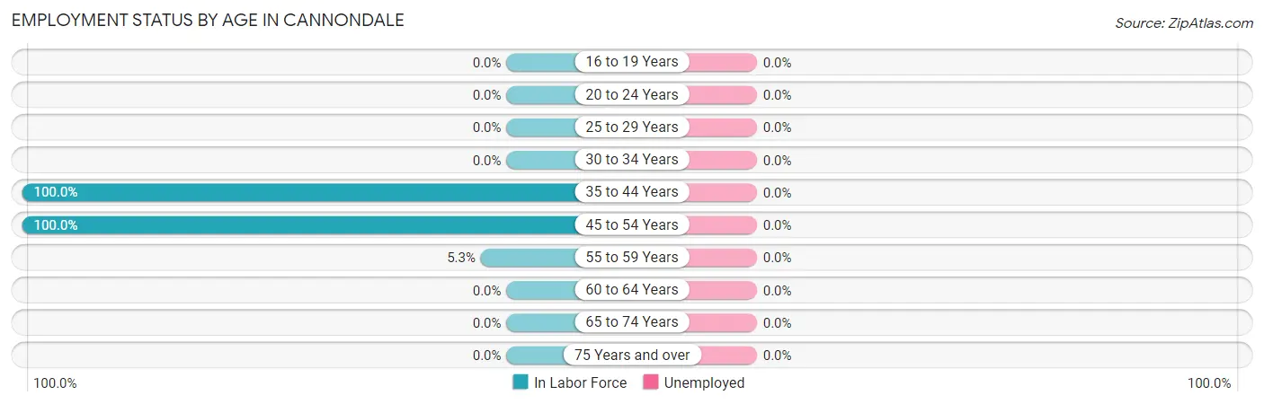Employment Status by Age in Cannondale