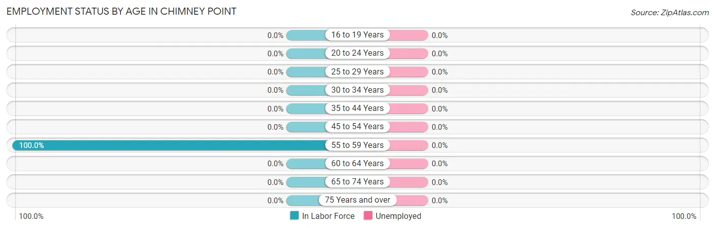 Employment Status by Age in Chimney Point
