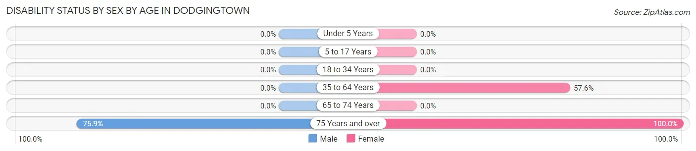 Disability Status by Sex by Age in Dodgingtown