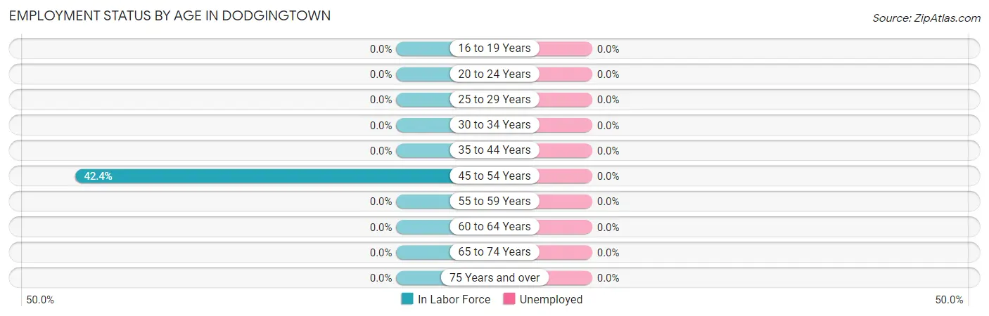 Employment Status by Age in Dodgingtown