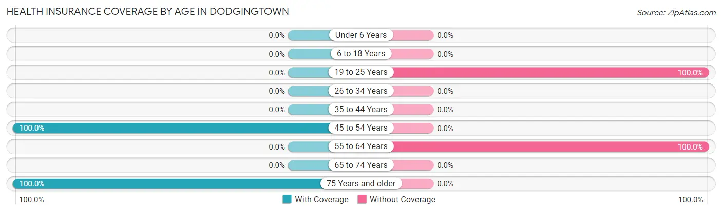 Health Insurance Coverage by Age in Dodgingtown