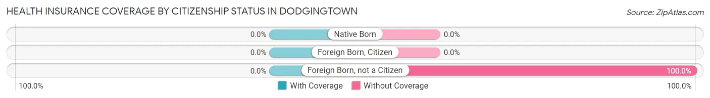 Health Insurance Coverage by Citizenship Status in Dodgingtown