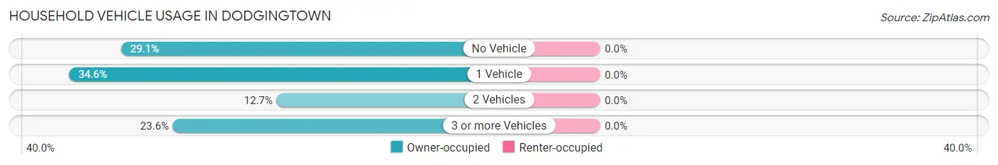 Household Vehicle Usage in Dodgingtown