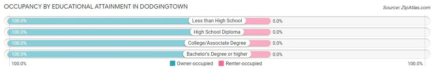 Occupancy by Educational Attainment in Dodgingtown