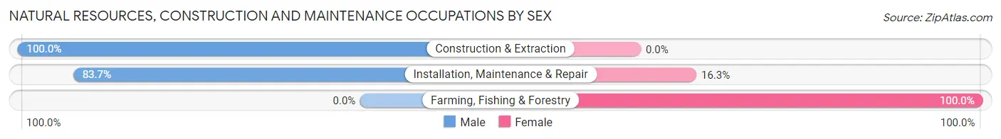Natural Resources, Construction and Maintenance Occupations by Sex in Hazardville