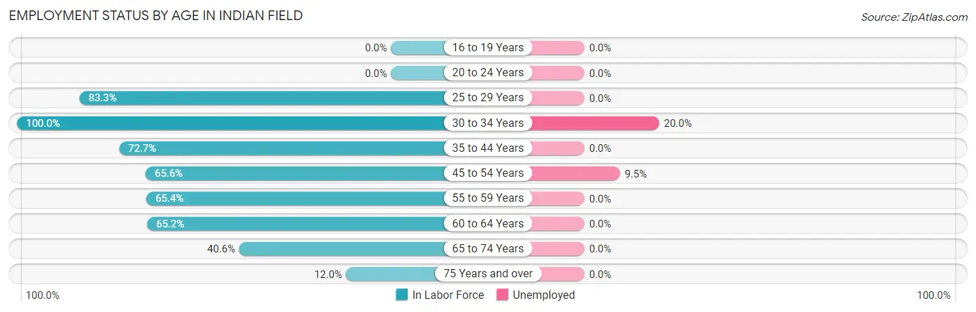 Employment Status by Age in Indian Field
