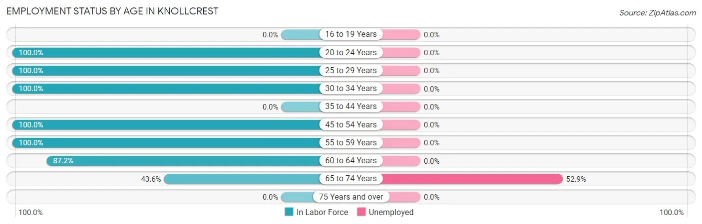 Employment Status by Age in Knollcrest