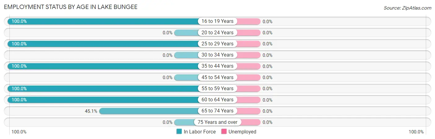 Employment Status by Age in Lake Bungee