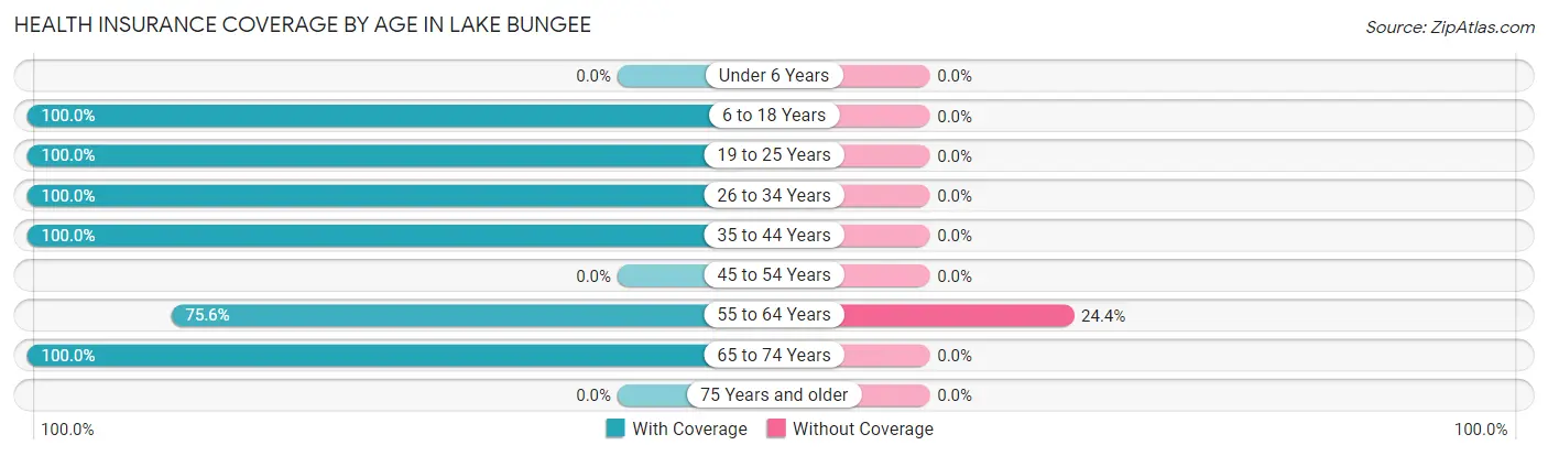 Health Insurance Coverage by Age in Lake Bungee