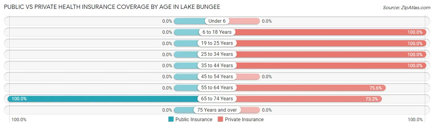 Public vs Private Health Insurance Coverage by Age in Lake Bungee