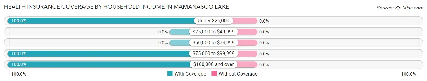 Health Insurance Coverage by Household Income in Mamanasco Lake