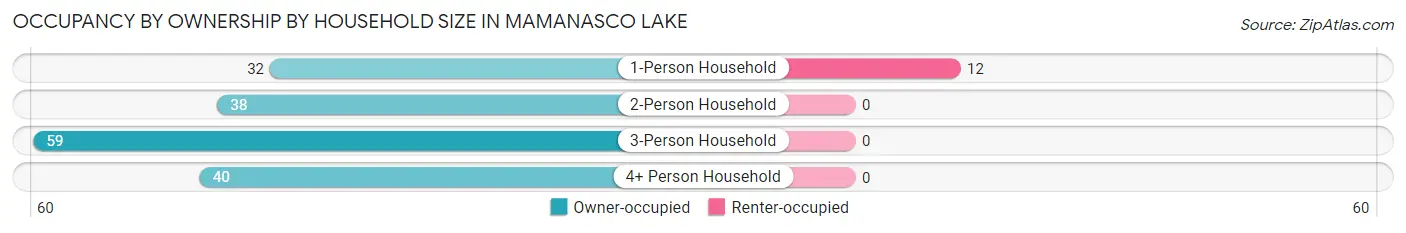 Occupancy by Ownership by Household Size in Mamanasco Lake