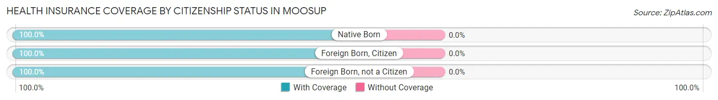 Health Insurance Coverage by Citizenship Status in Moosup