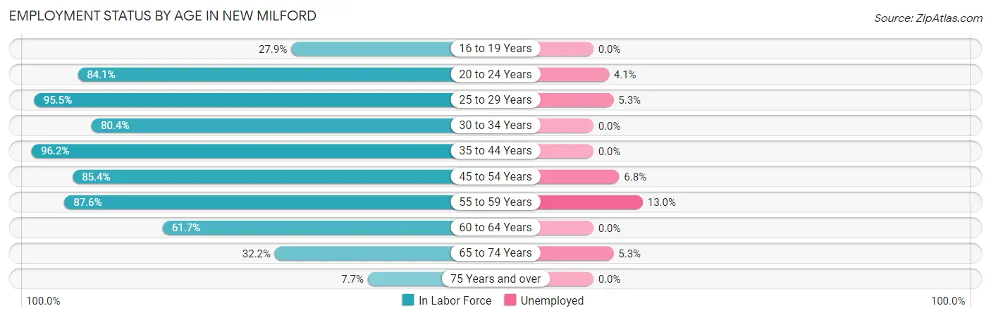 Employment Status by Age in New Milford