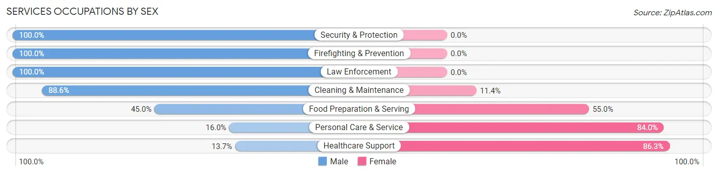 Services Occupations by Sex in New Milford