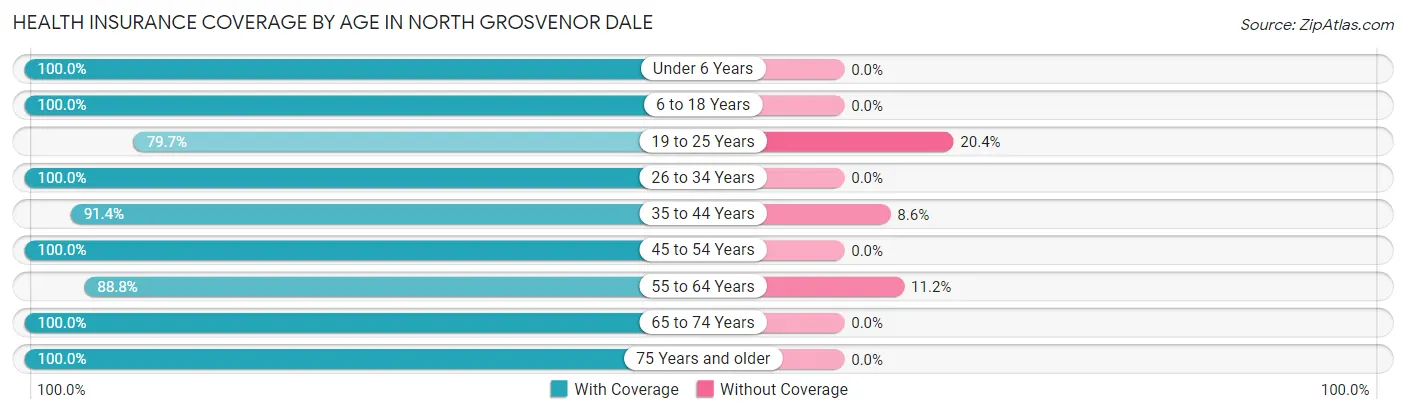 Health Insurance Coverage by Age in North Grosvenor Dale