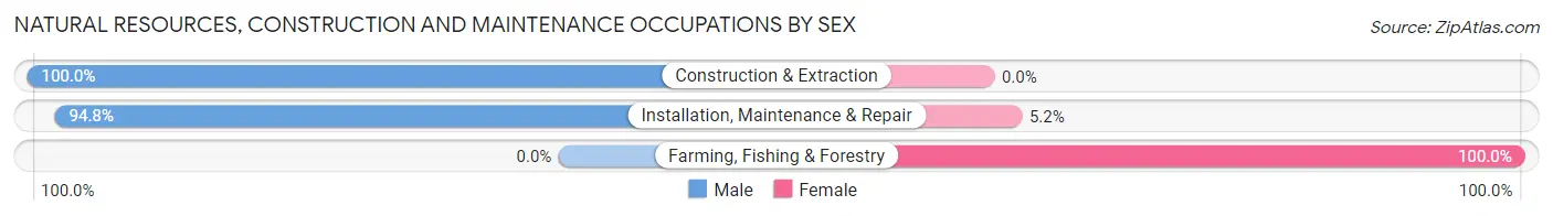 Natural Resources, Construction and Maintenance Occupations by Sex in North Haven