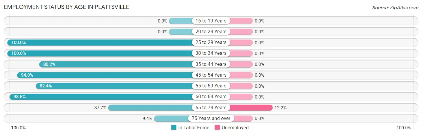 Employment Status by Age in Plattsville