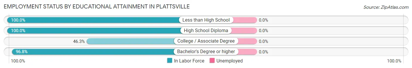 Employment Status by Educational Attainment in Plattsville