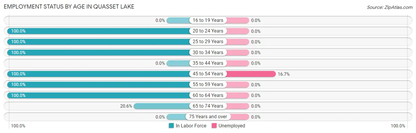 Employment Status by Age in Quasset Lake